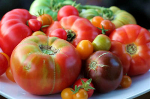 heirloom-tomatoes