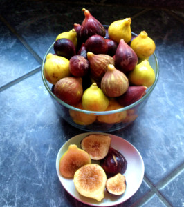 Figs