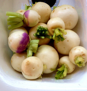 Now, what to do with the turnips?? 
